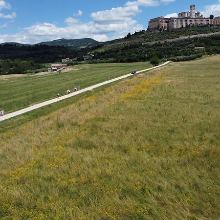 Agriturismo Molinella Ассизи Экстерьер фото